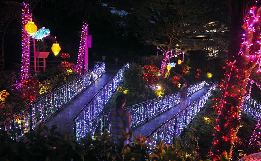 Không khí đón Tết âm lịch tại nhiều quốc gia trên thế giới